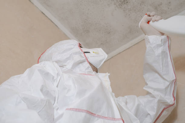 Best Toxic Mold Removal  in Delaware, OH