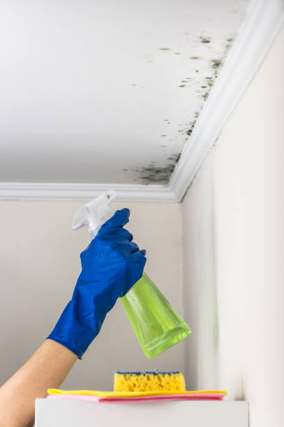 Water Damage Restoration in Delaware, OH